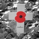 RemembrancePoppy